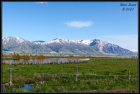 Landscapes